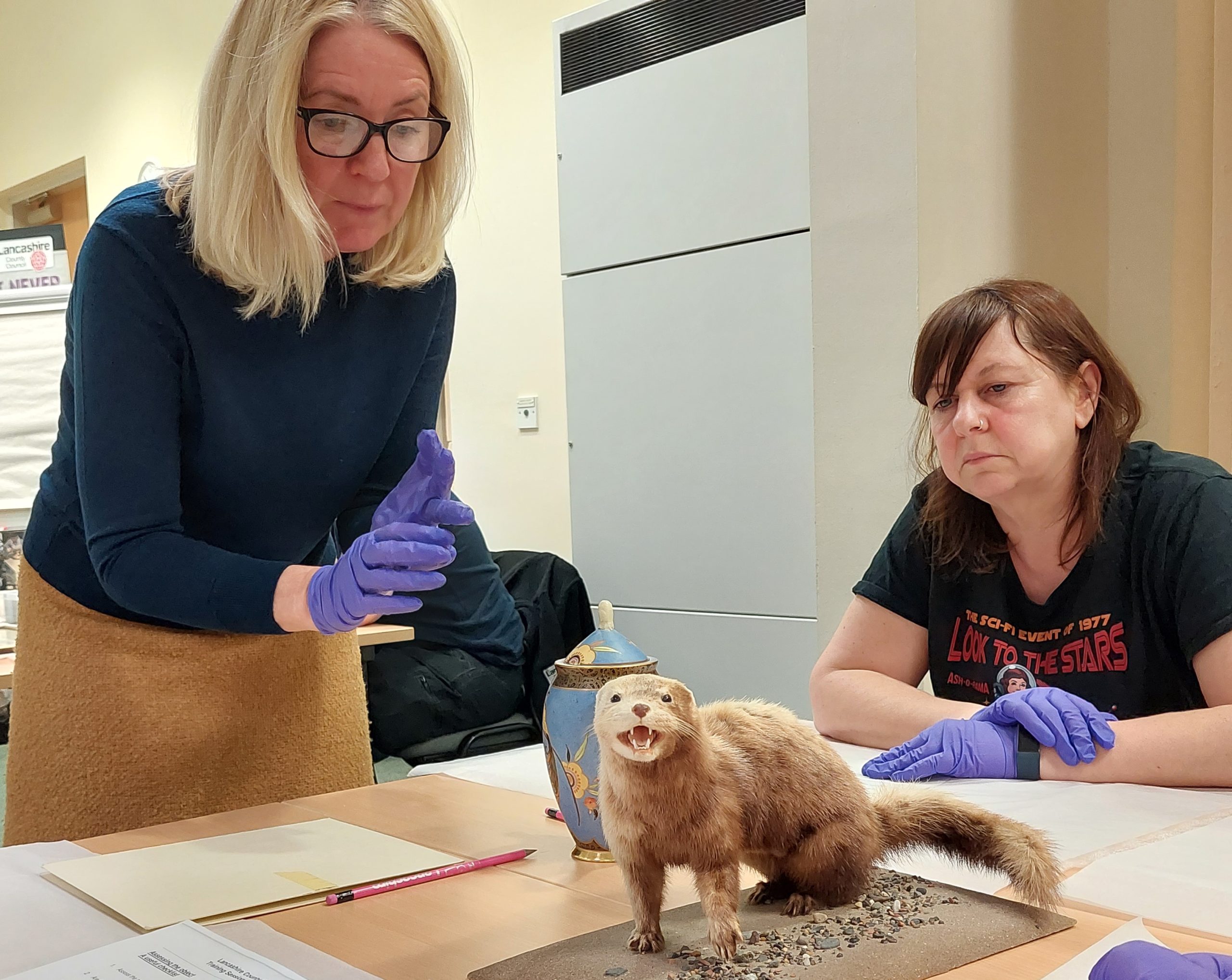 Two women wearing purple gloves inspect a stuffed stoat which is standing up on a table.